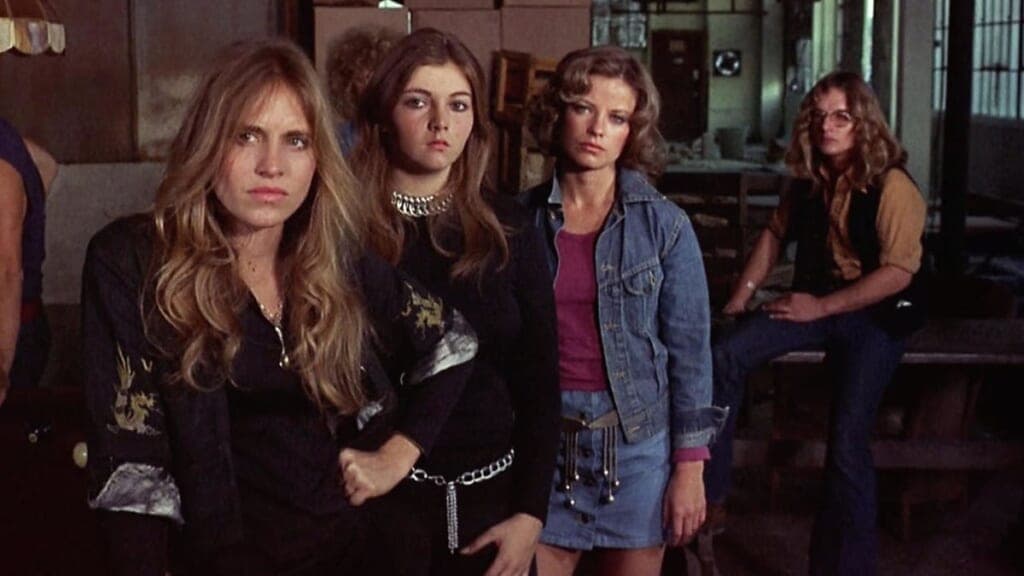 Switchblade sisters exploitation