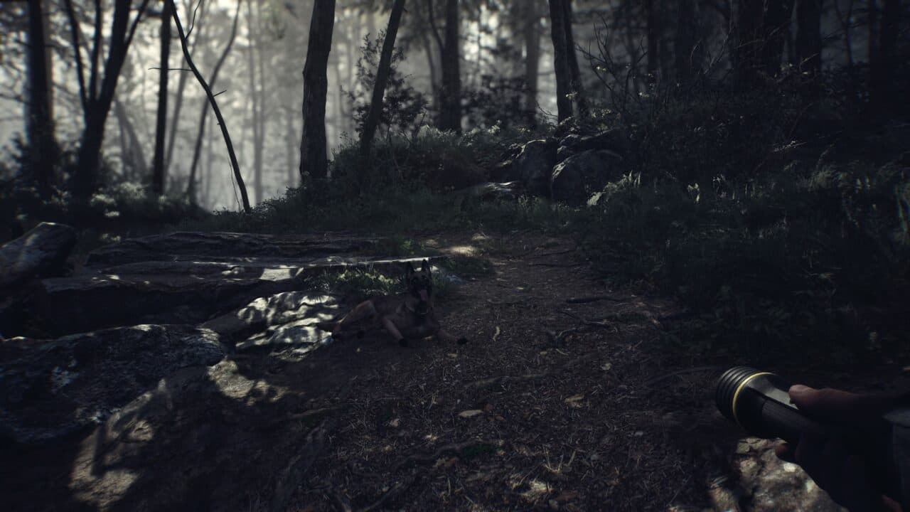 Blair Witch