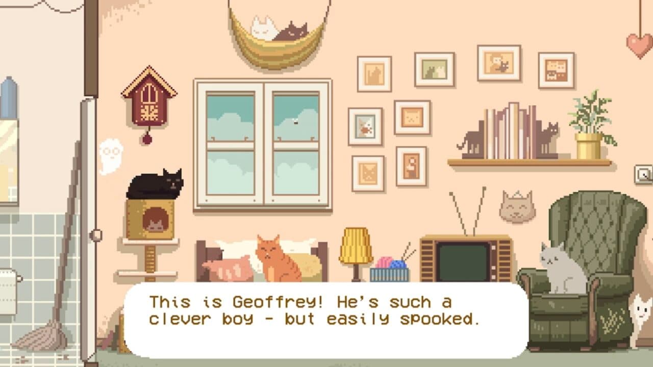 six cats under