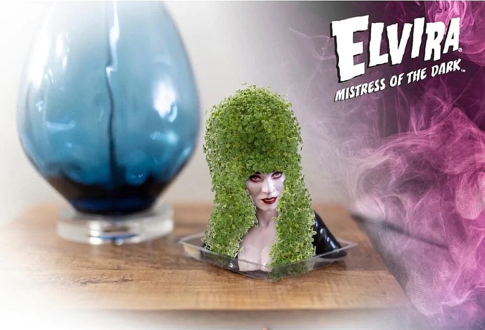 Elvira Chia Pet gift