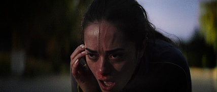 the sound panic fest