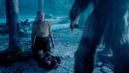 The Yeti