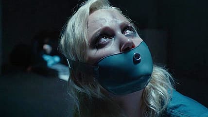 tau maika monroe