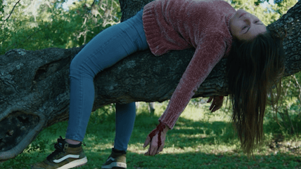 the weedhacker massacre