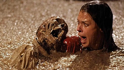 Poltergeist Pool horror