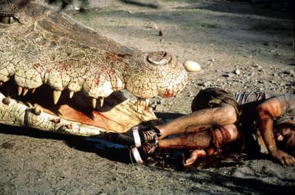 Crocodile