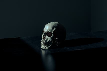 Skulls