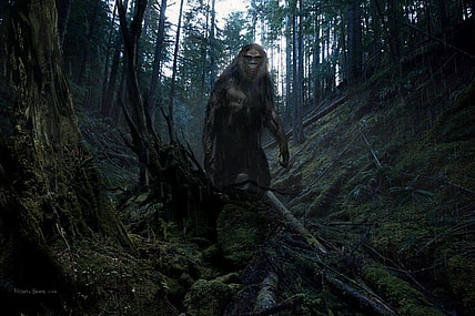 Bigfoot