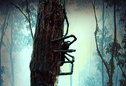 This 'Tarantulas' Sales Art? Immediate Nope.