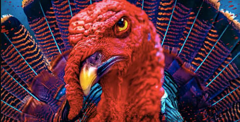 Amityville Thanksgiving