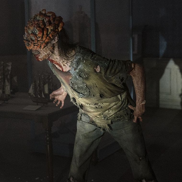 The Last of Us
