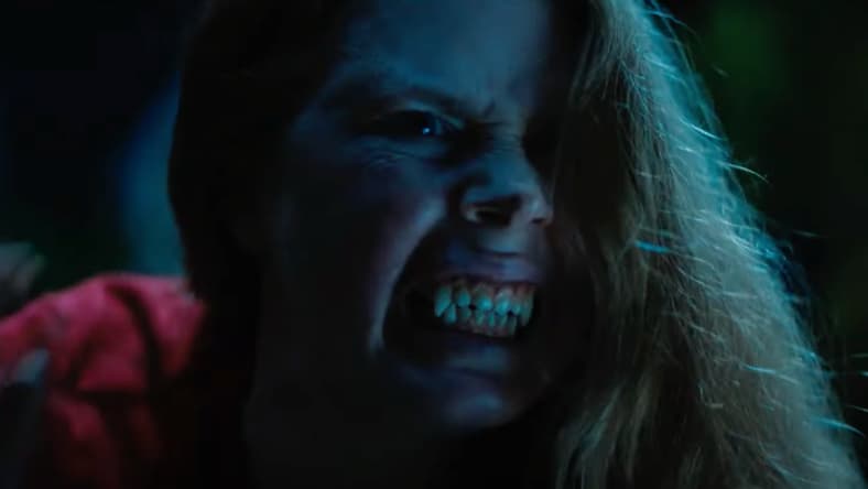 Nightbitch