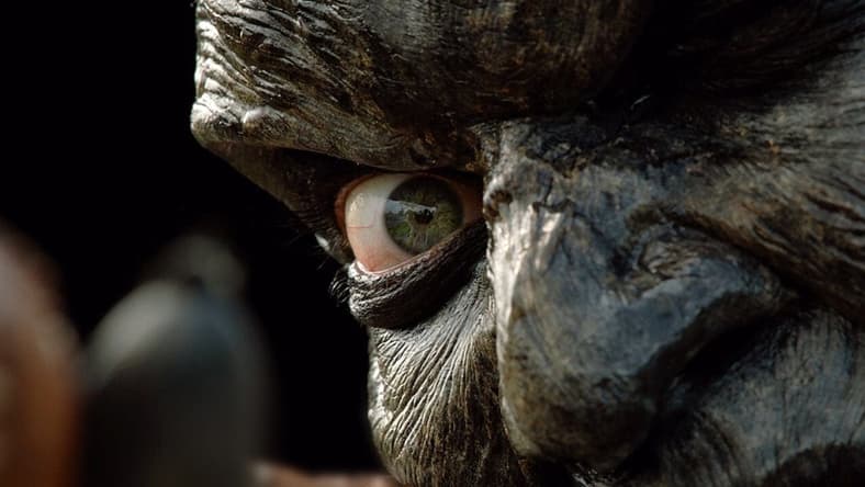 Jeepers Creepers