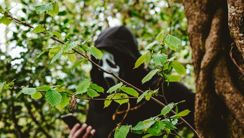 Scream ghost face mask murder in real life