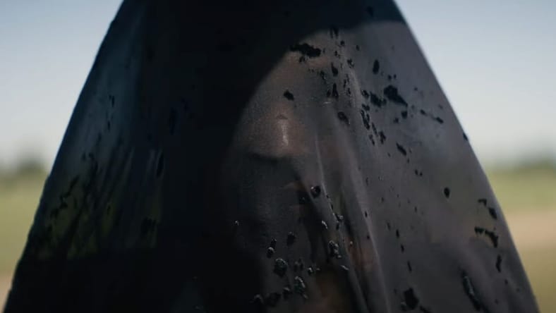 The Woman in the Yard