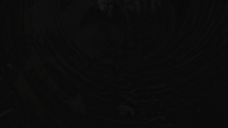 Found Footage 'Don't Look in the Dark' Trailer