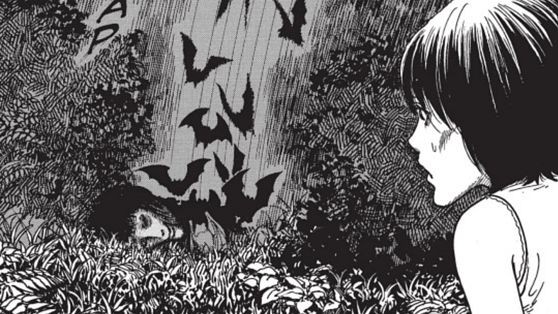 Junji Ito bloodsucking darkness