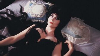 elvira 336x189 - Elvira Comes Out As Queer!