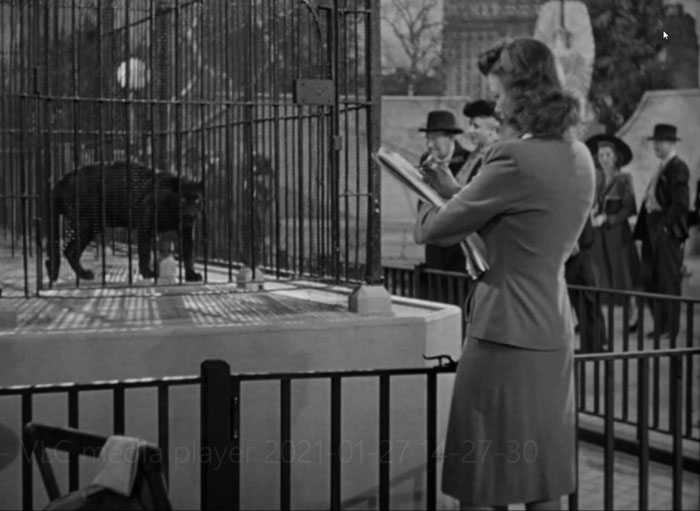 cat1 - Unwelcome, Outcast and Alone: Otherness in 'Cat People' (1942)