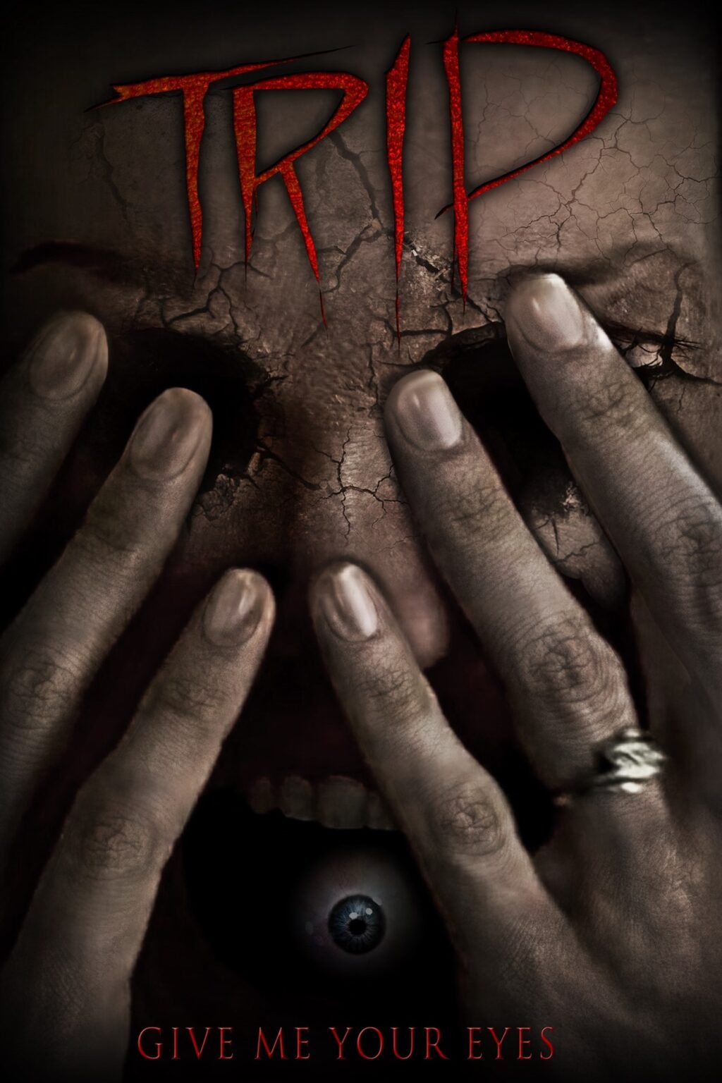 trip poster 1024x1536 - 'Trip': A Grieving Mother Must Survive Her Worst Nightmare In This Exclusive Trailer