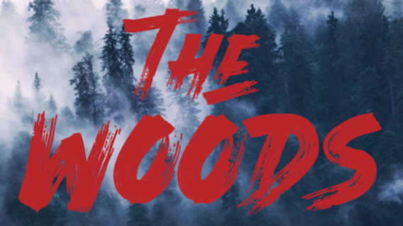 The Woods 2 568x319 - Let's Get Lost In 'The Woods' [Giallo Julian's Indie Spotlight]