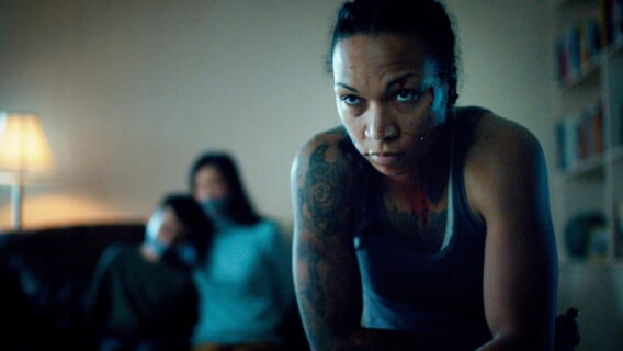Catch The Fair One 568x320 - This Gripping and Upsetting Thriller Is Now On Hulu