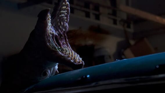 It Crawls Beneath 568x320 - 'It Crawls Beneath' Is A Delightfully Old School Creature Feature [Horror-on-Sea 2023 Review]