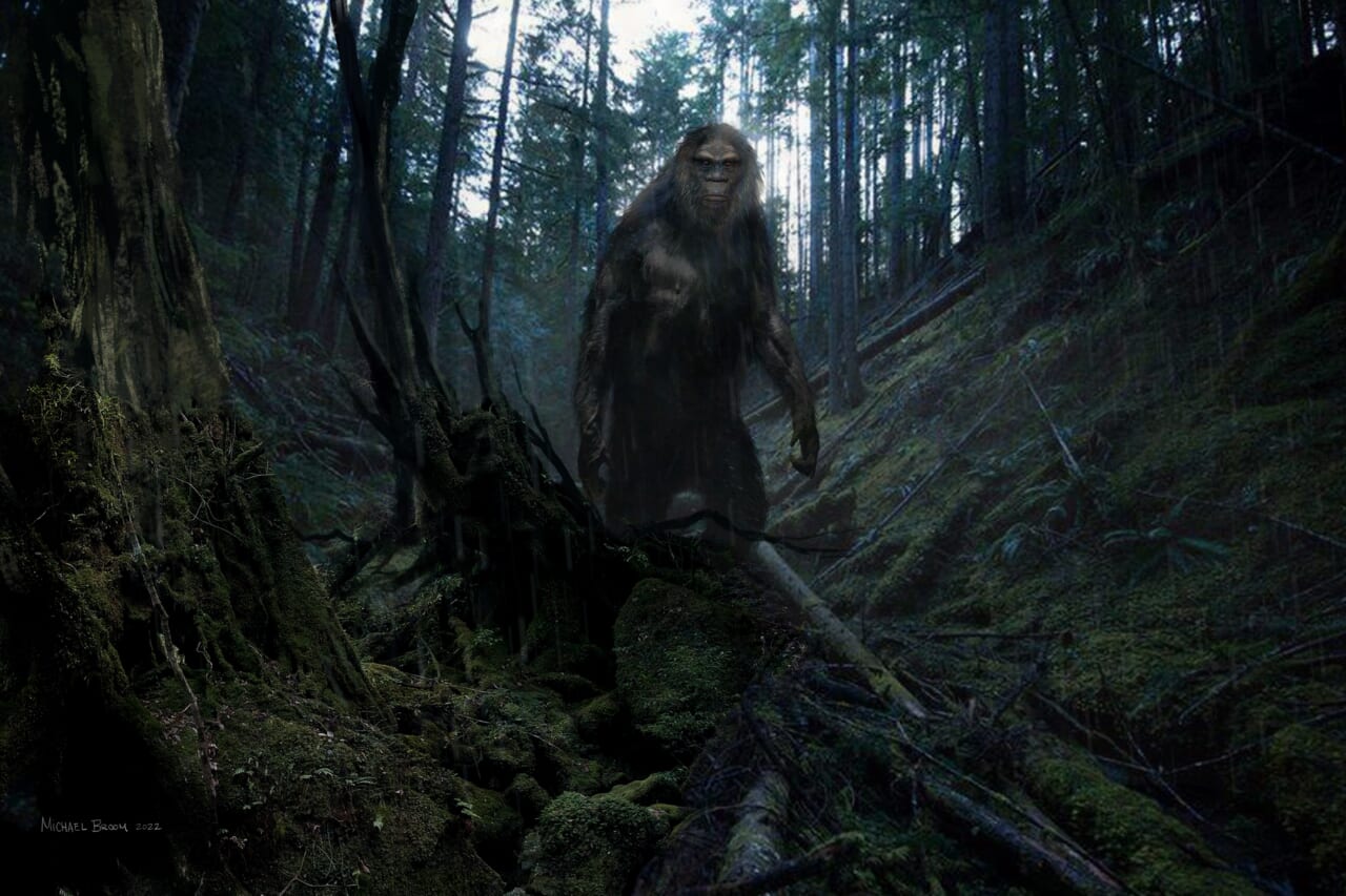 On The Trail Of Bigfoot: Last Frontier' Exclusive Clip