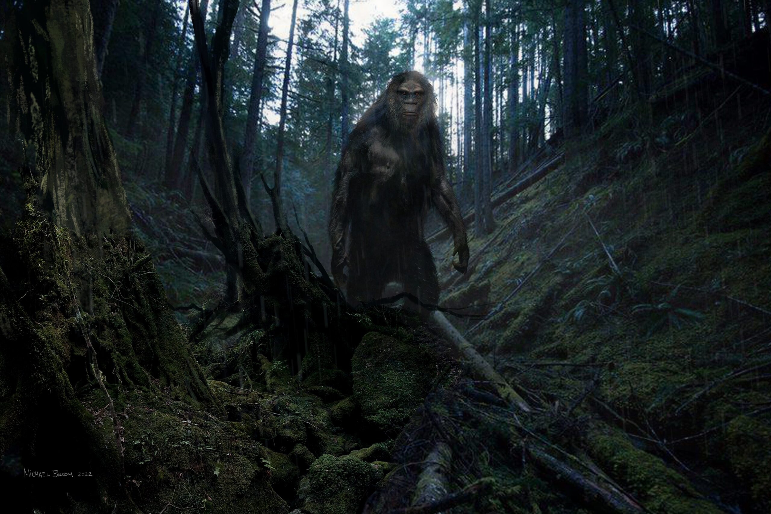 RIP Bigfoot. Magazine Declares Legendary Northwest Forest Critter