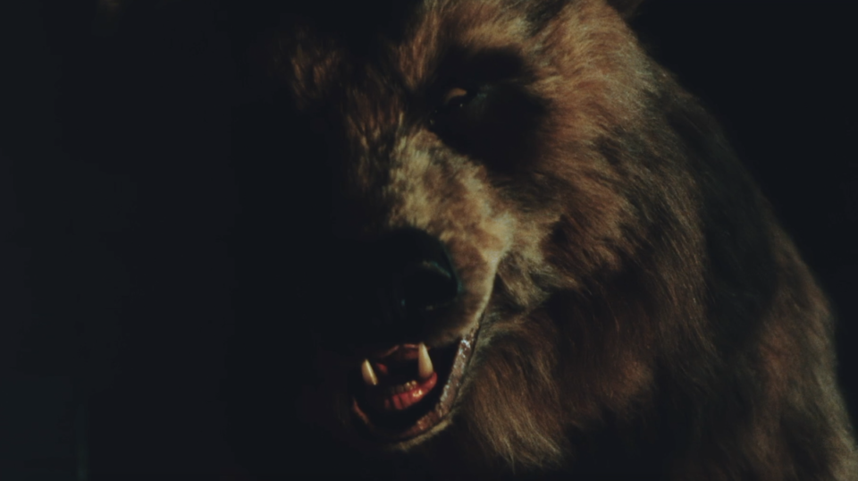 grizzly 2 960x538 - 10 Streaming Horror Movies Featuring Pissed-Off Bears