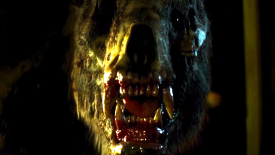 image 51 568x320 - 10 Streaming Horror Movies Featuring Pissed-Off Bears