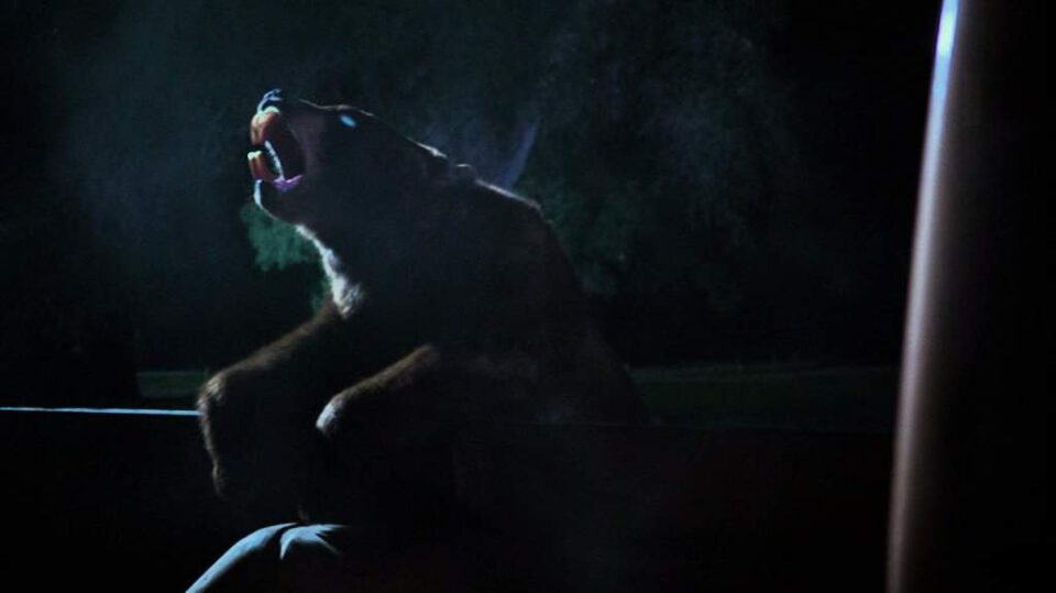 zombeavers 960x539 - 10 Streaming Horror Movies Featuring Pissed-Off Bears