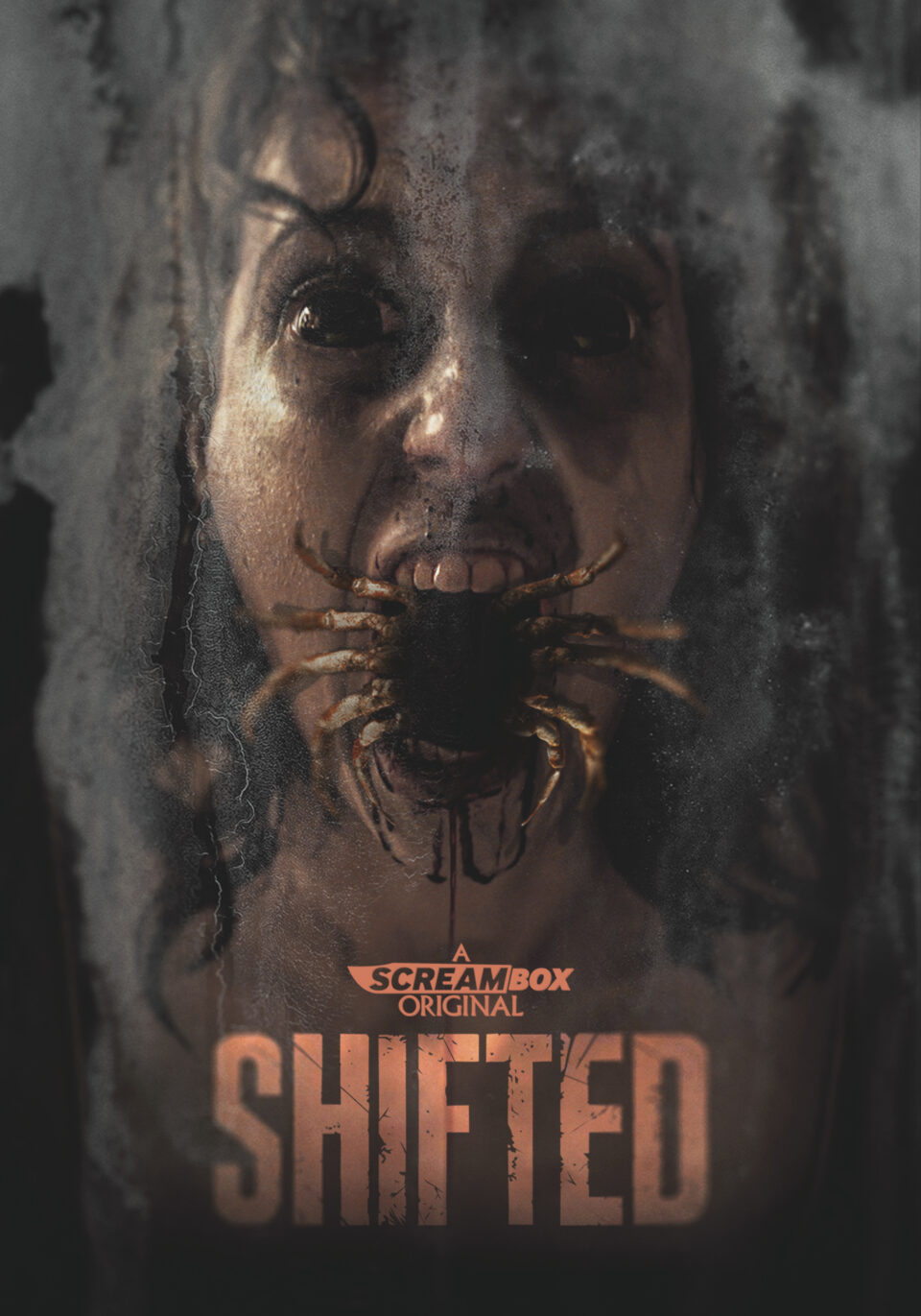 Shifted poster