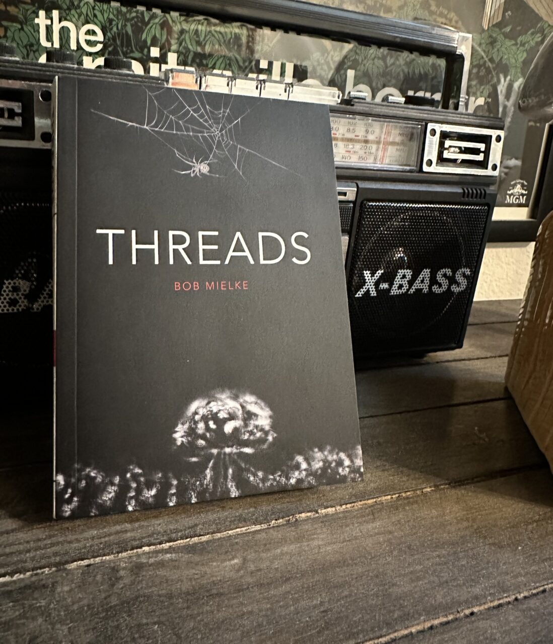 IMG 2569 scaled - 'Threads' is a Must-Read From New Press DieDieBooks
