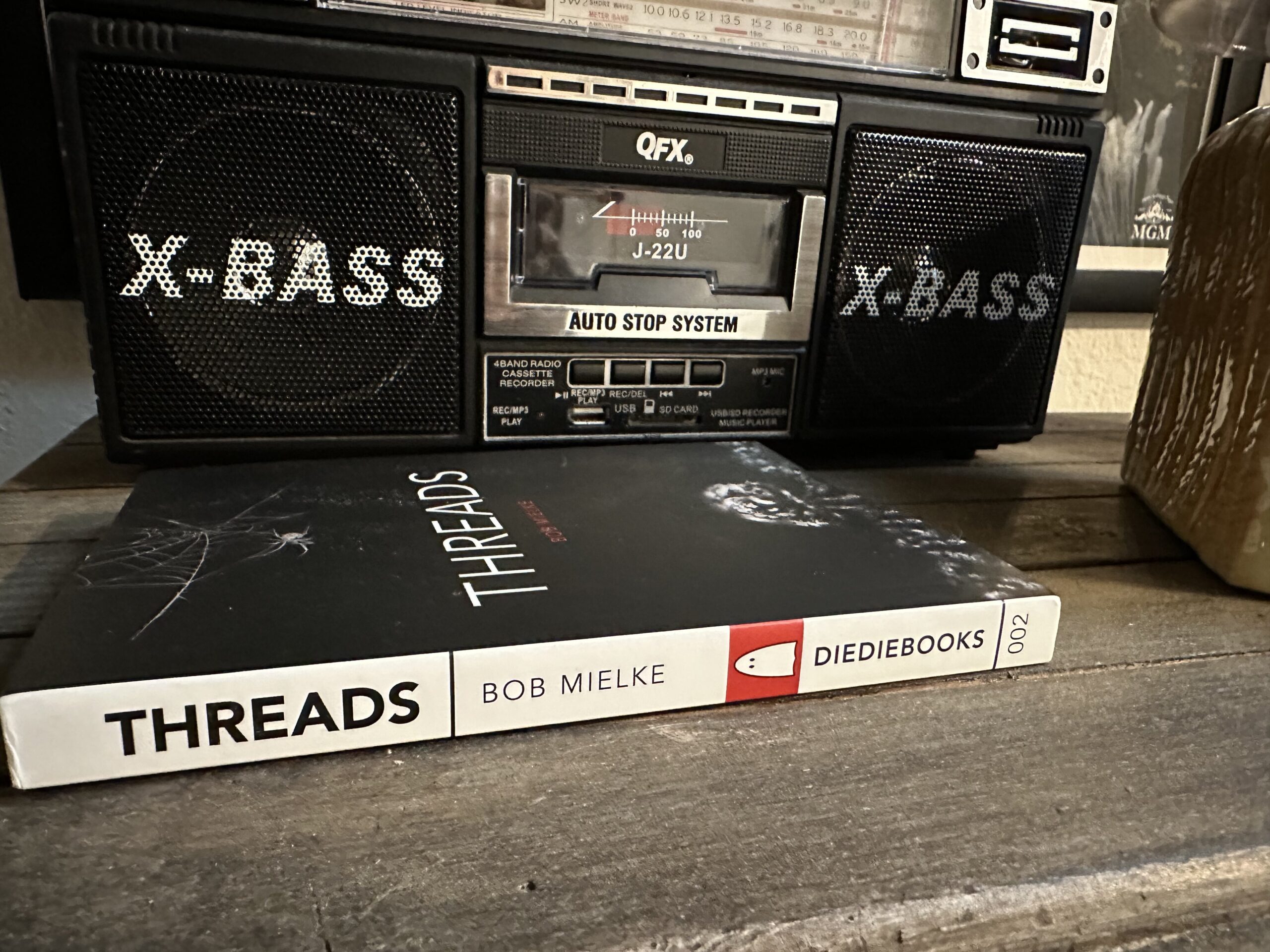 IMG 2571 scaled - 'Threads' is a Must-Read From New Press DieDieBooks