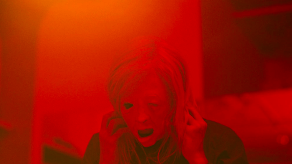 Possessor Canadian horror