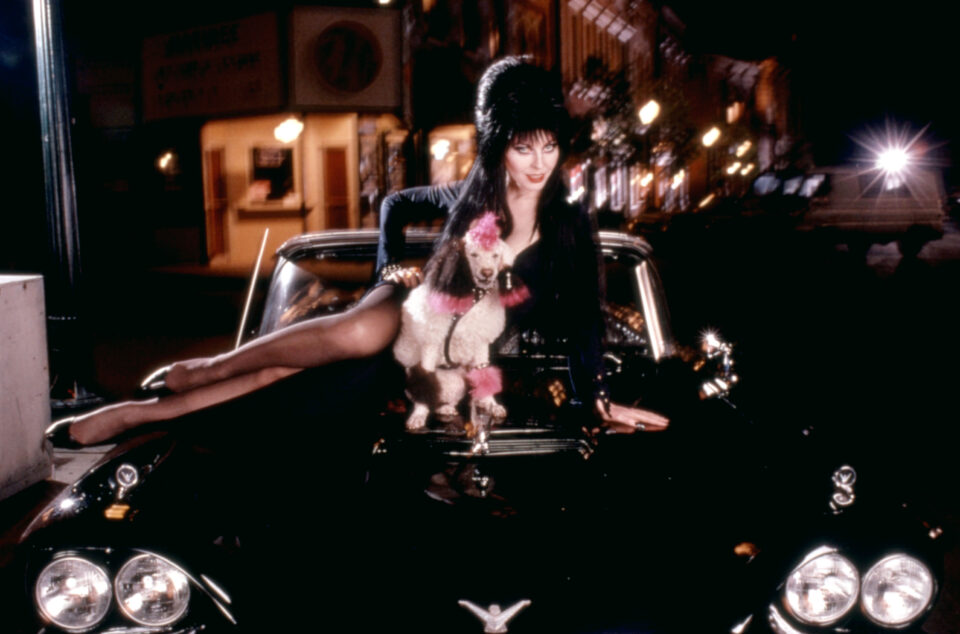 MSDELMI EC014 960x634 - 'Elvira Goes To Hell': The Queen of Halloween Discusses Her Unproduced Film Projects [Exclusive]