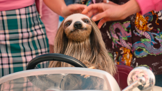 How The 'Slotherhouse' Team Brought Their Killer Sloth To Life