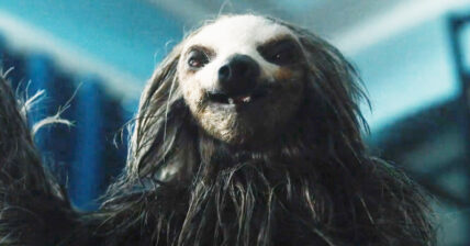 Hulu Horror: Fans Call This Slasher-Comedy About A Killer Sloth "Absolutely ridiculous fun" sloth 428x224 - Hulu Horror: Fans Call This Slasher-Comedy About A Killer Sloth "Absolutely ridiculous fun"