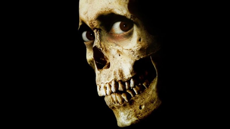 Human Skull Evil Dead II