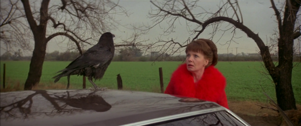 You Can Now Stream the Best ‘Omen’ Sequel on Hulu This Week