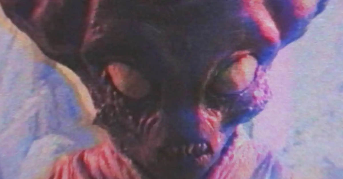 Aero Film Abducts Sci-fi Horror Comedy ‘Terrestrial’ for Theatrical Release