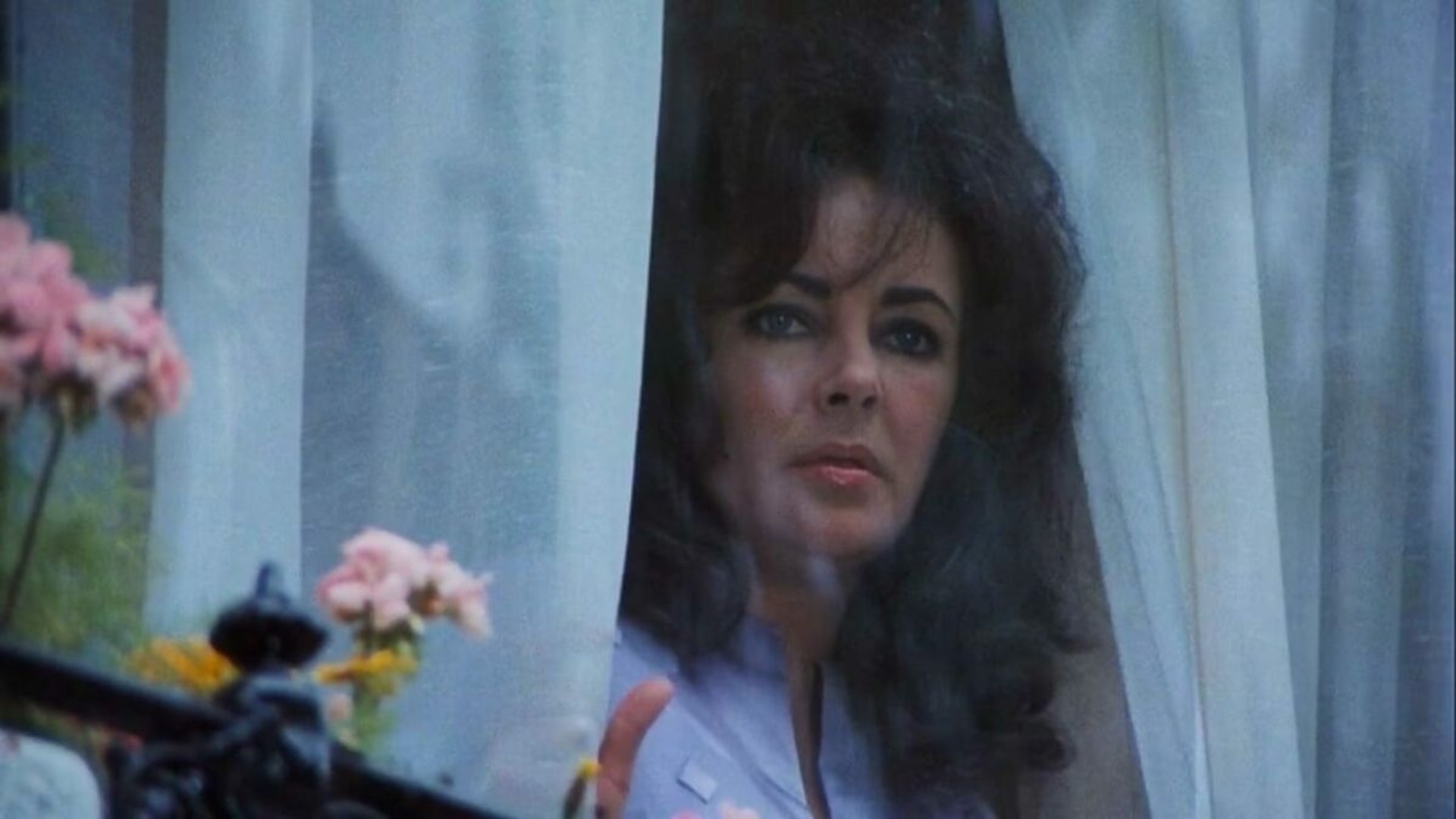 Elizabeth Taylor’s Darkest Role is now Free to Stream Elizabeth Taylor’s Darkest Role is now Free to Stream