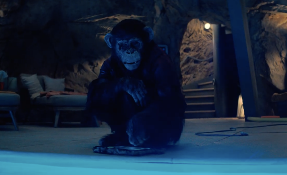 Watch a Tense ‘Primate’ Scene With a Very Angry Chimpanzee!