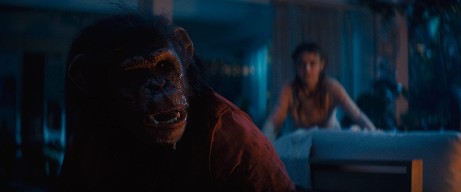 ‘Primate’ Star Shares Hilarious BTS Photos With Her Killer Chimp Co-Star!