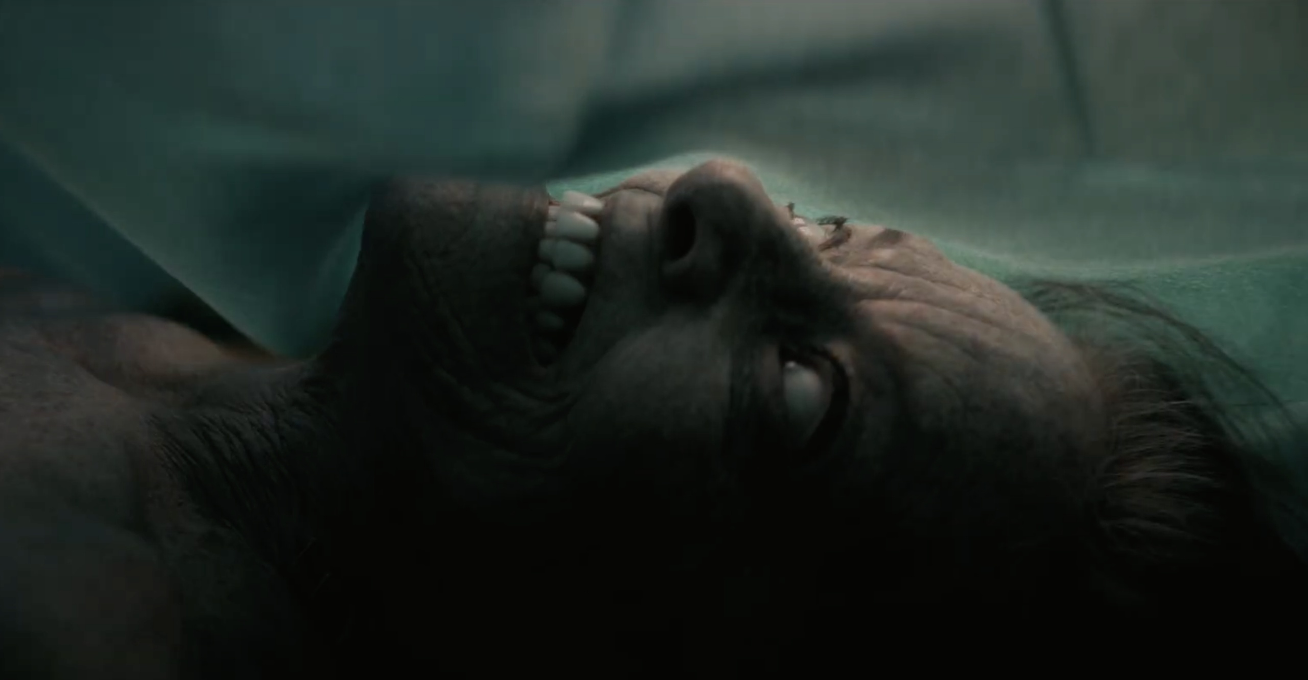 ‘The Mortuary Assistant’ – Trailer for Game Adaptation Raises Hell