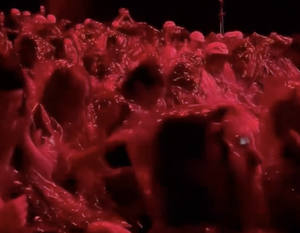 ‘Ready or Not 2’ Screening Got the Crowd Soaked in “Blood”!