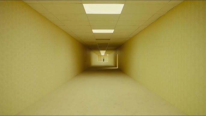 The 