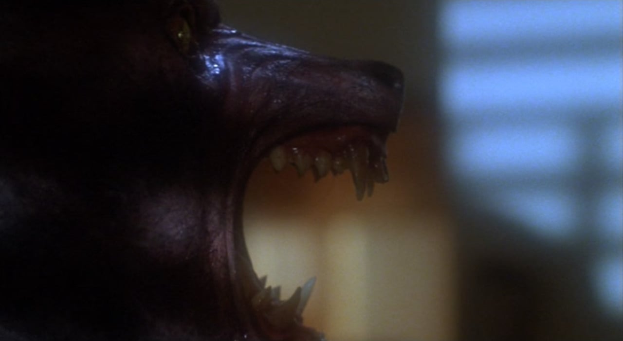 ‘The Howling’ – StudioCanal to Reimagine Werewolf Cult Classic!