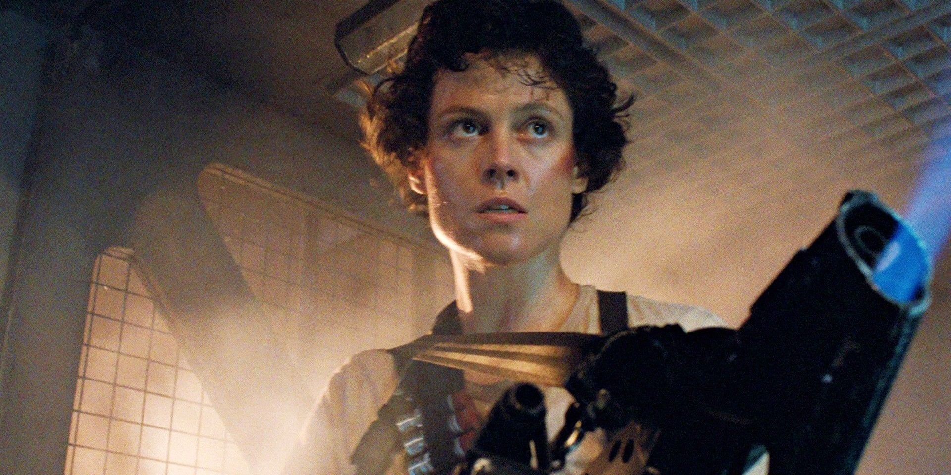 All-Female ‘Expendables’ Spinoff Gets Cute Title: ‘The Expendabelles’